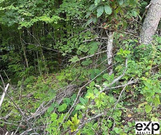 1.39 Acres of Residential Land for Sale in Maggie Valley, North Carolina
