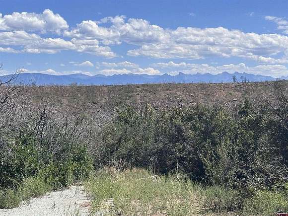 35.62 Acres of Land for Sale in Montrose, Colorado