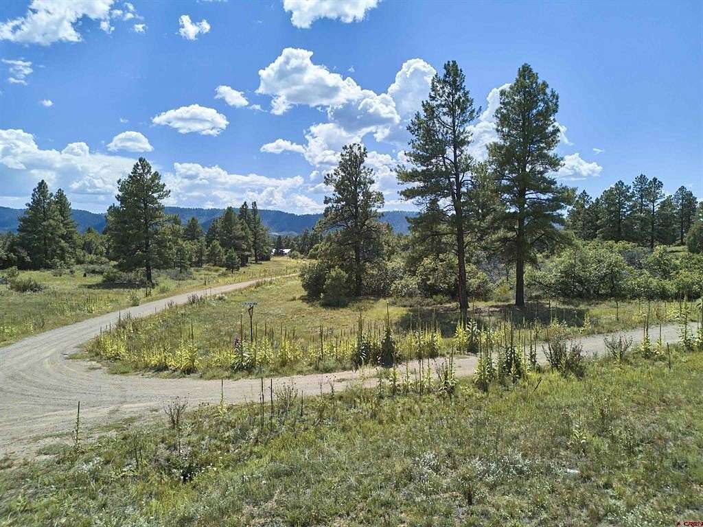 0.27 Acres of Residential Land for Sale in Pagosa Springs, Colorado