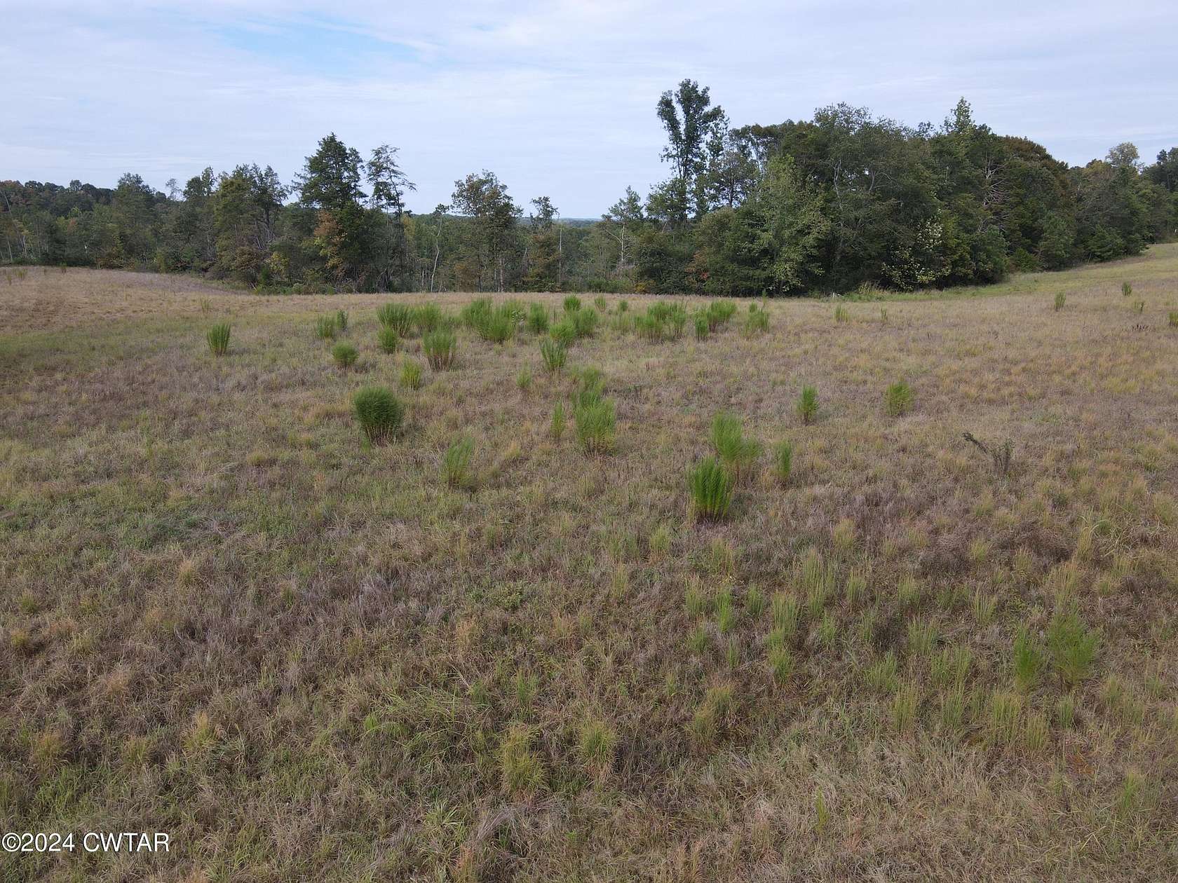 9.27 Acres of Land for Sale in Decaturville, Tennessee