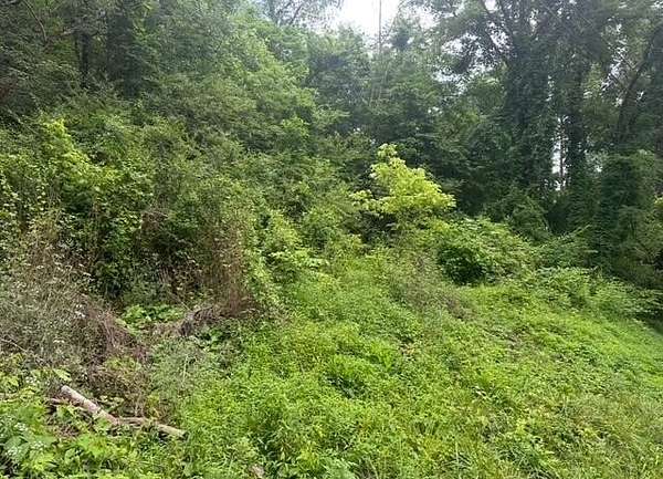 1.14 Acres of Land for Sale in Middlesboro, Kentucky