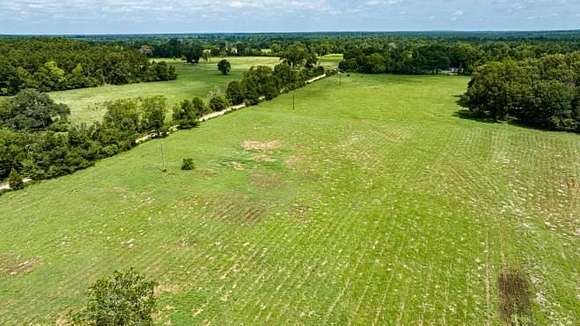 10 Acres of Agricultural Land for Sale in Apple Springs, Texas