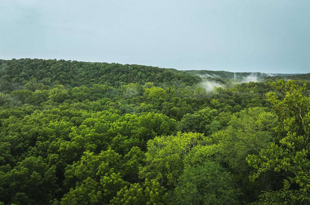 80 Acres of Land for Sale in Newburg, Missouri