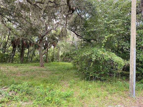 0.25 Acres of Residential Land for Sale in Lake Panasoffkee, Florida