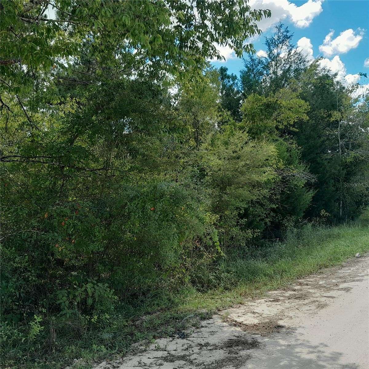 1.25 Acres of Land for Sale in Morriston, Florida