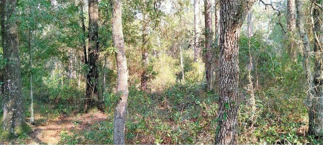 1.25 Acres of Residential Land for Sale in Dunnellon, Florida