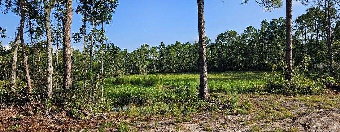 15.11 Acres of Recreational Land for Sale in Fort McCoy, Florida