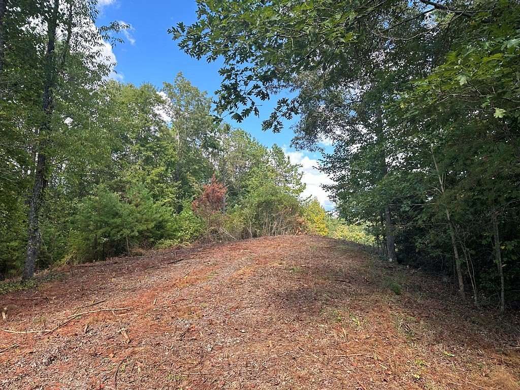 3.41 Acres of Residential Land for Sale in Warne, North Carolina