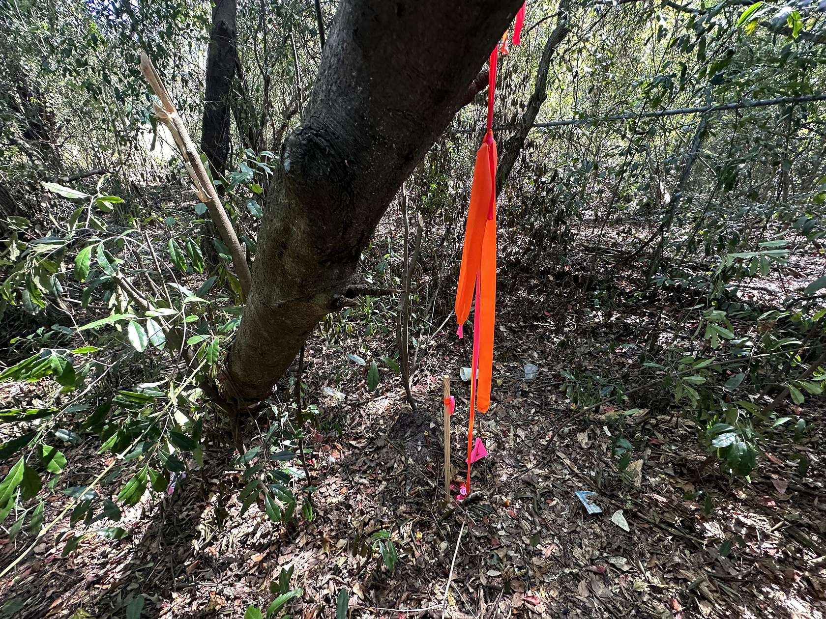 0.67 Acres of Residential Land for Sale in Crestview, Florida