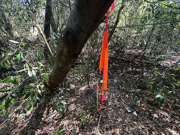 0.67 Acres of Residential Land for Sale in Crestview, Florida