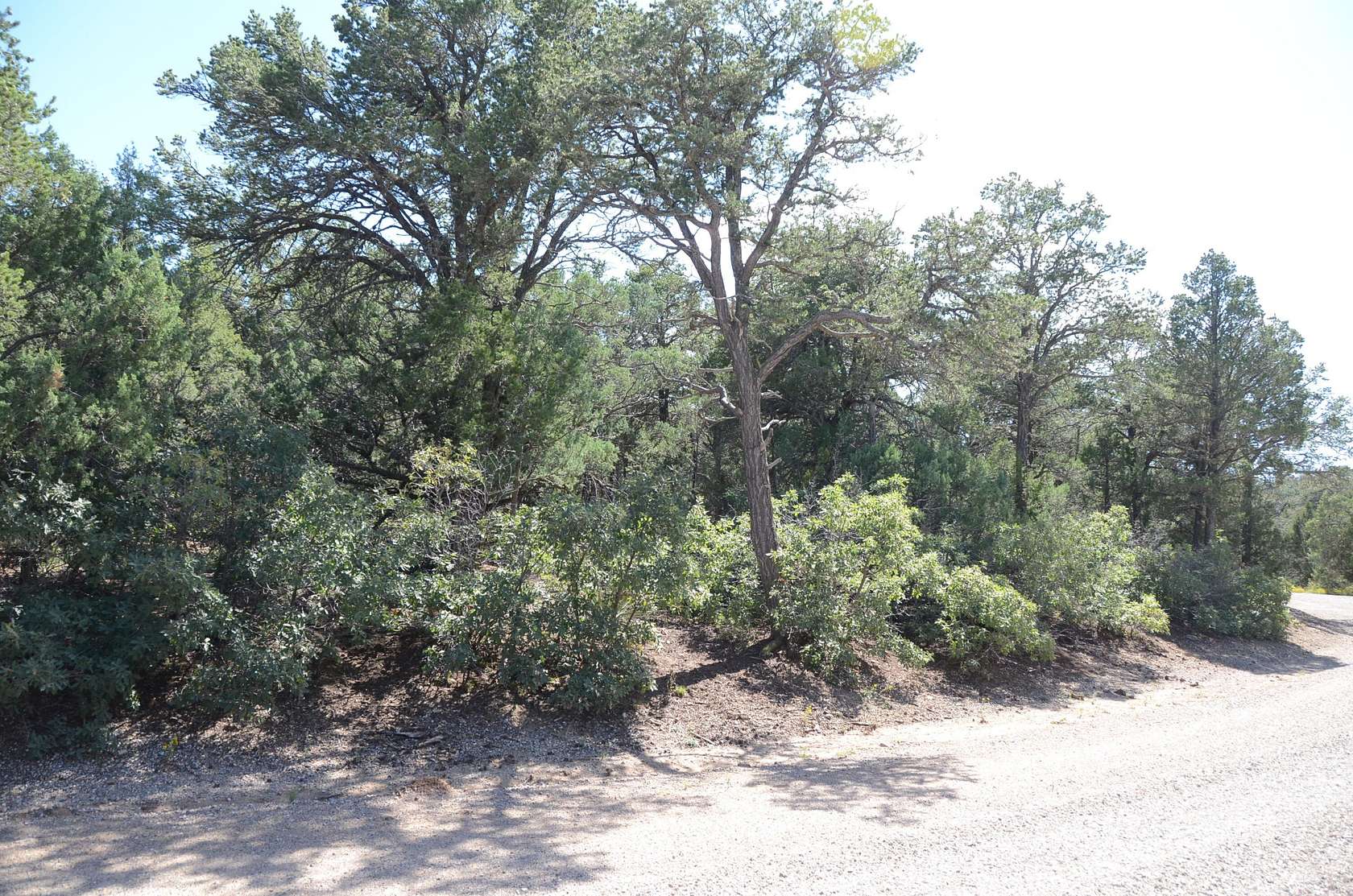 0.51 Acres of Land for Sale in Tijeras, New Mexico