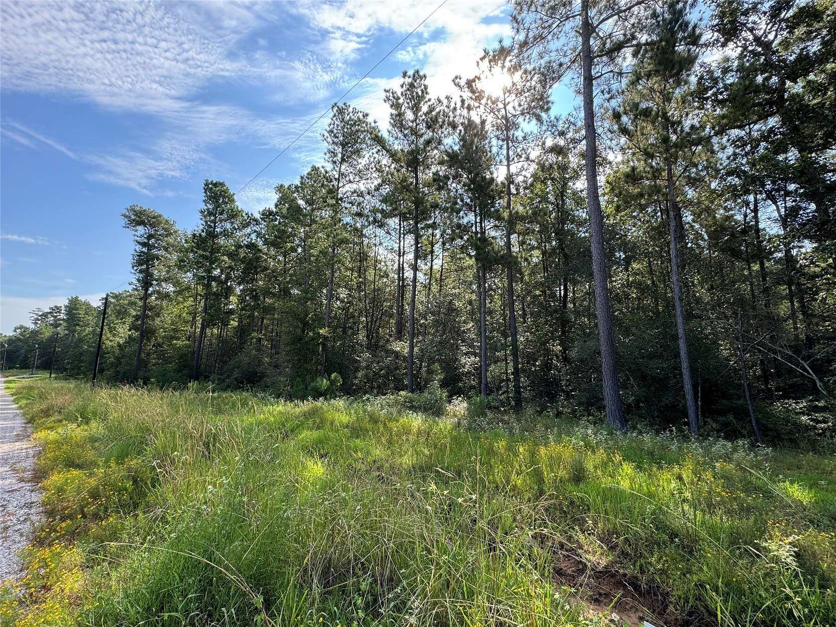 2.006 Acres of Residential Land for Sale in Huntsville, Texas