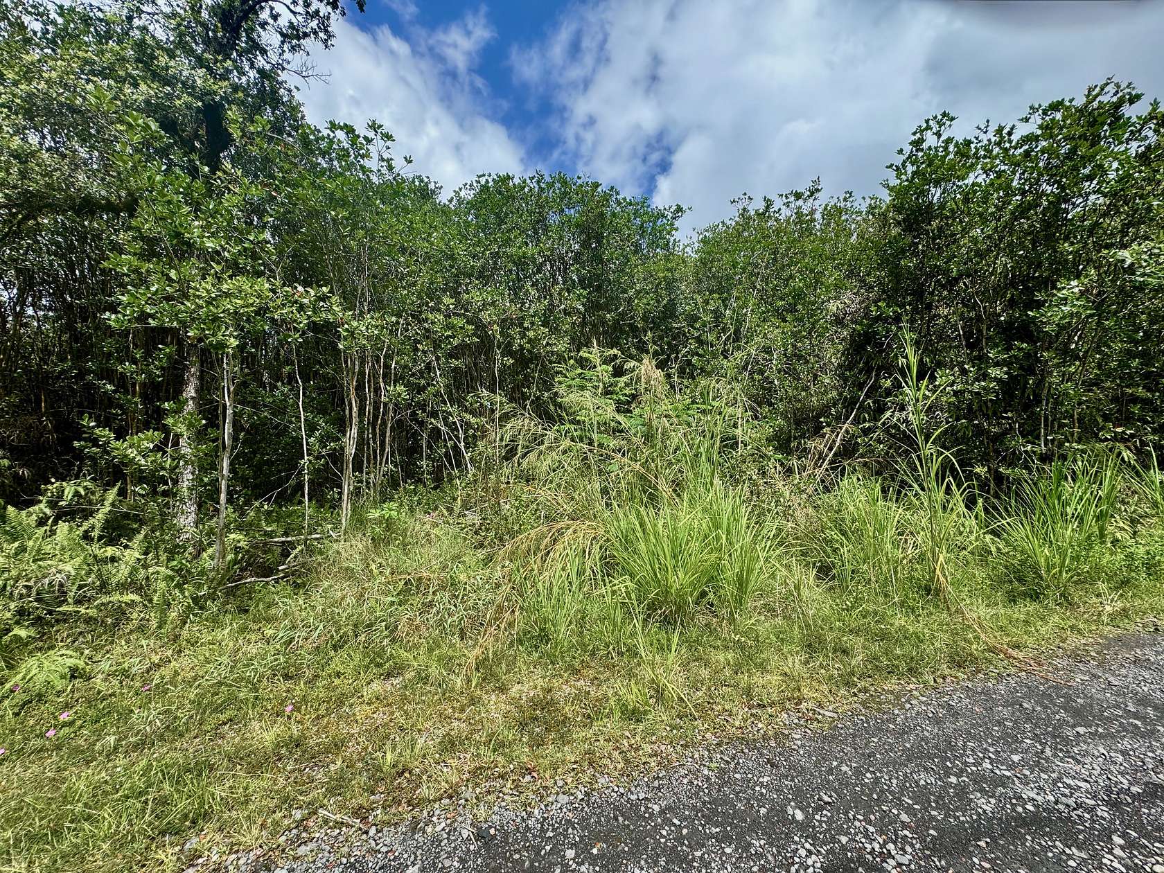 3 Acres of Land for Sale in Mountain View, Hawaii