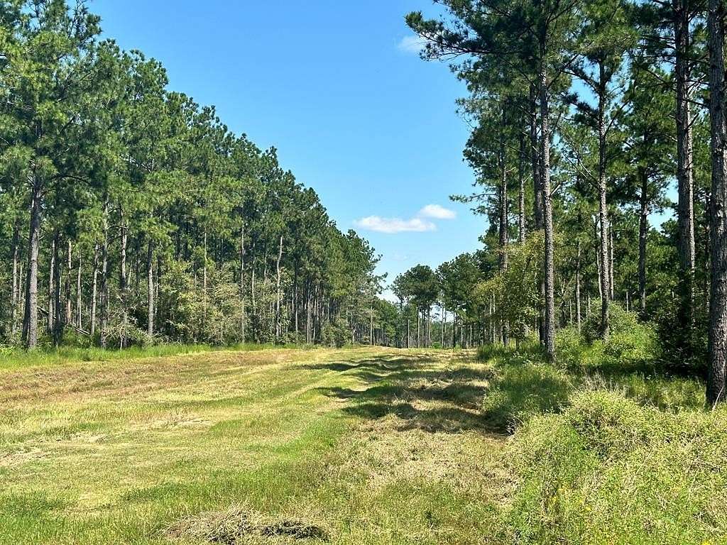 42 Acres of Recreational Land for Sale in Apple Springs, Texas