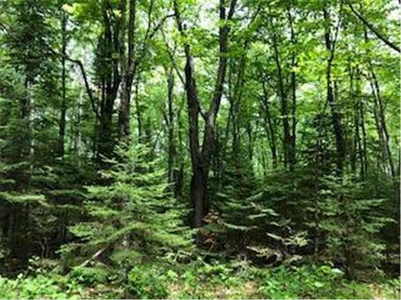 40 Acres of Recreational Land for Sale in Silver Creek Township, Minnesota