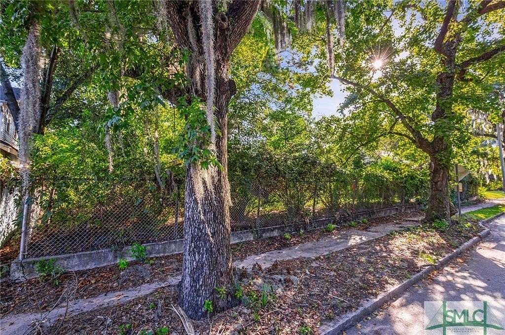 0.074 Acres of Mixed-Use Land for Sale in Savannah, Georgia