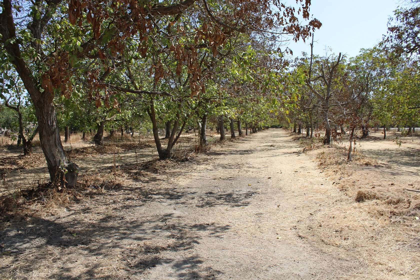 10 Acres of Land with Home for Sale in Hanford, California