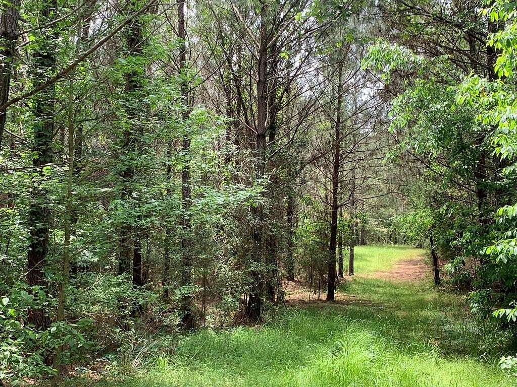 133.17 Acres of Recreational Land for Sale in McCall Creek, Mississippi