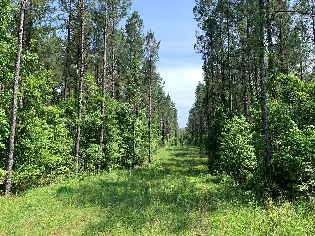 124.18 Acres of Land for Sale in Wesson, Mississippi