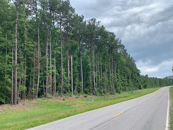 113.86 Acres of Recreational Land for Sale in Silver Creek, Mississippi