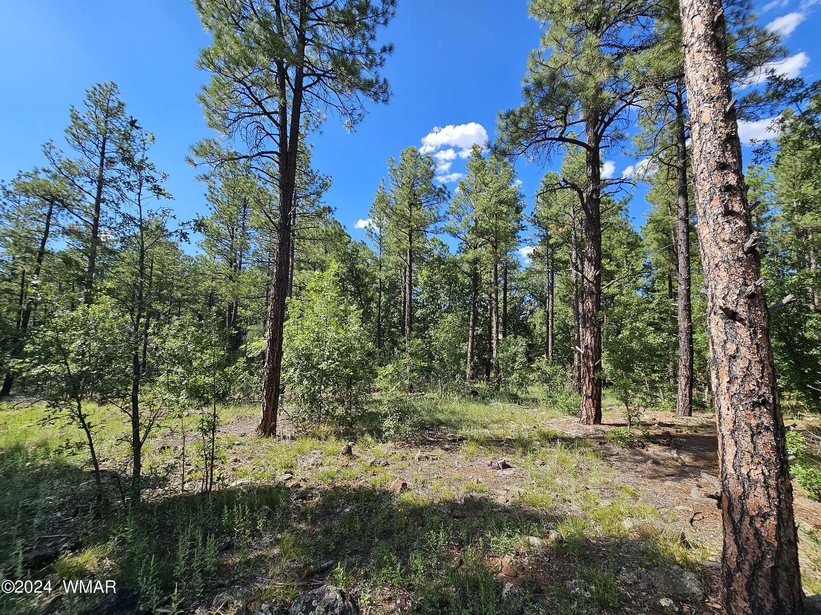 0.3 Acres of Residential Land for Sale in Lakeside, Arizona