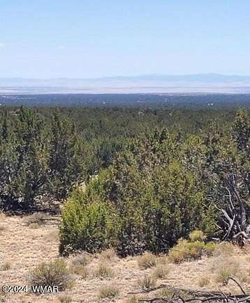 40 Acres of Land for Sale in St. Johns, Arizona