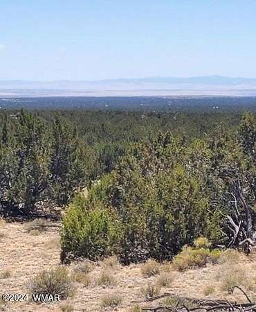 40 Acres of Recreational Land for Sale in St. Johns, Arizona
