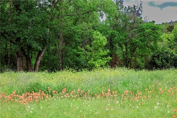 3.908 Acres of Residential Land for Sale in Waco, Texas