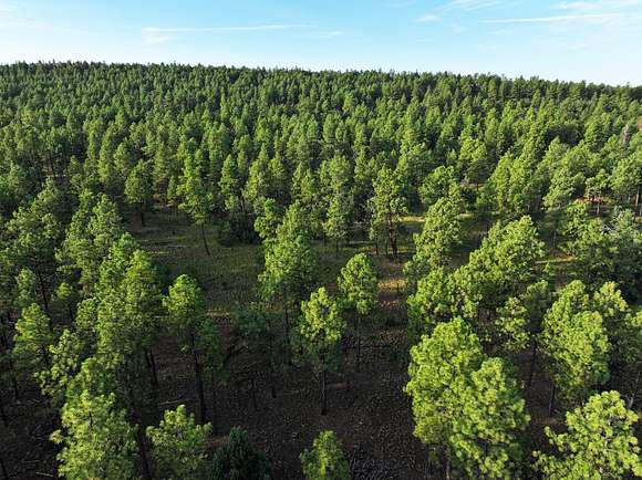 21.54 Acres of Recreational Land for Sale in Bluewater, New Mexico