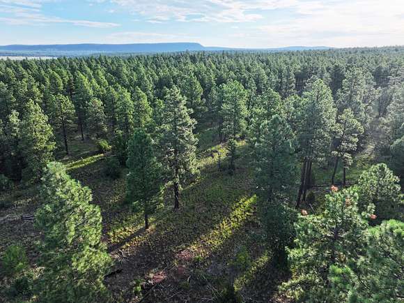 44.84 Acres of Recreational Land for Sale in Bluewater, New Mexico