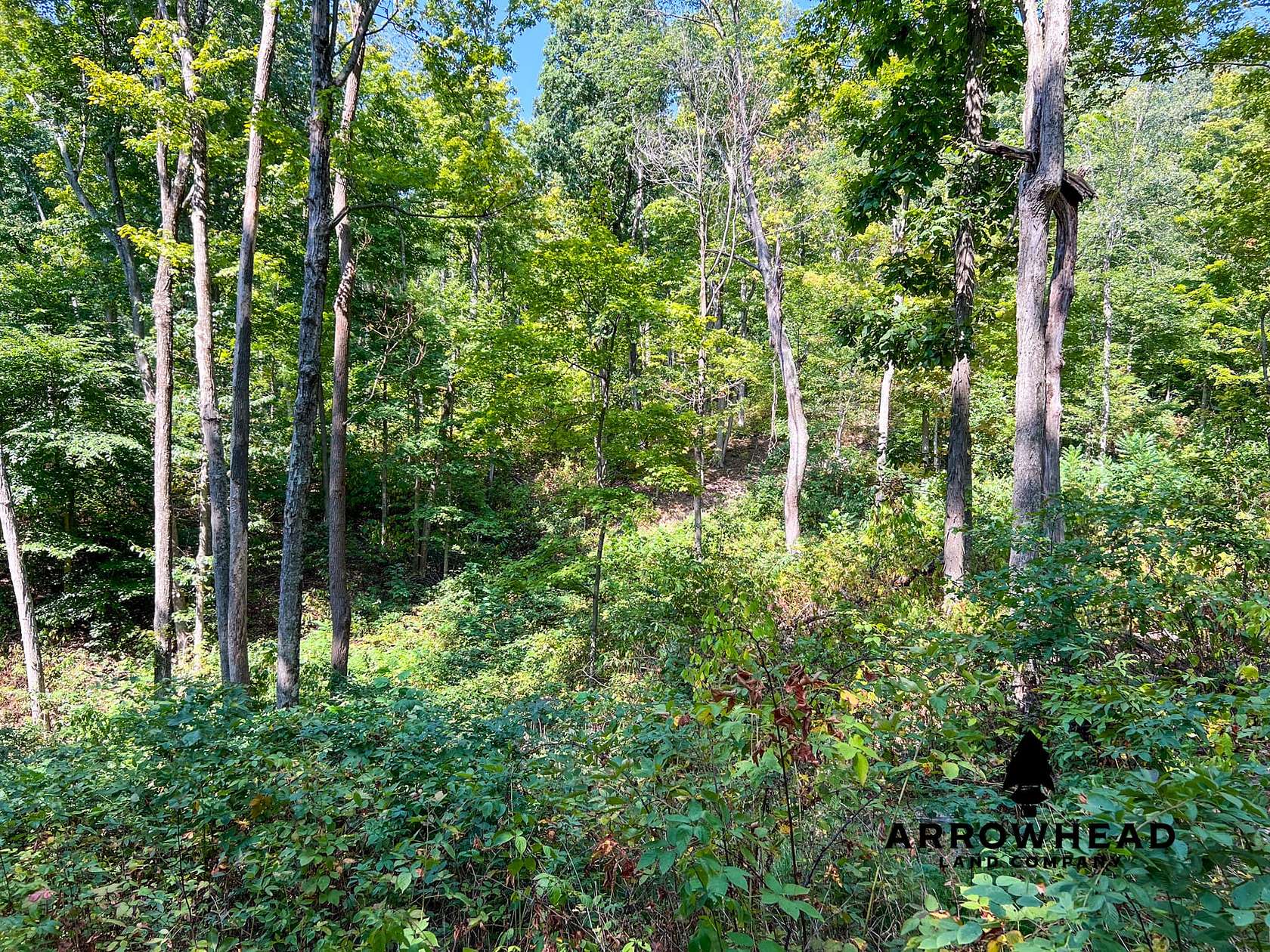 10 Acres of Recreational Land for Sale in South Salem, Ohio - LandSearch