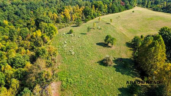 10 Acres of Recreational Land with Home for Sale in Waterloo, Ohio