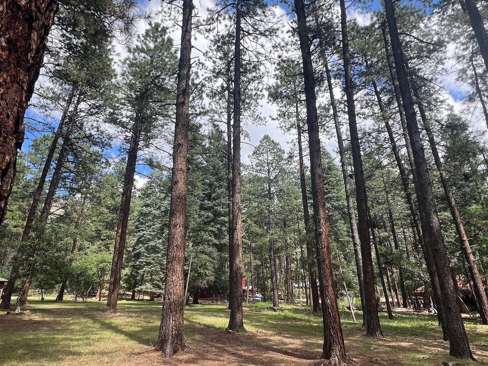 0.21 Acres of Land for Sale in Chama, New Mexico