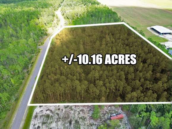 10.16 Acres of Recreational Land for Sale in Gainesville, Florida