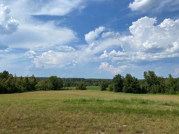 68 Acres of Land with Home for Sale in Adamsville, Tennessee