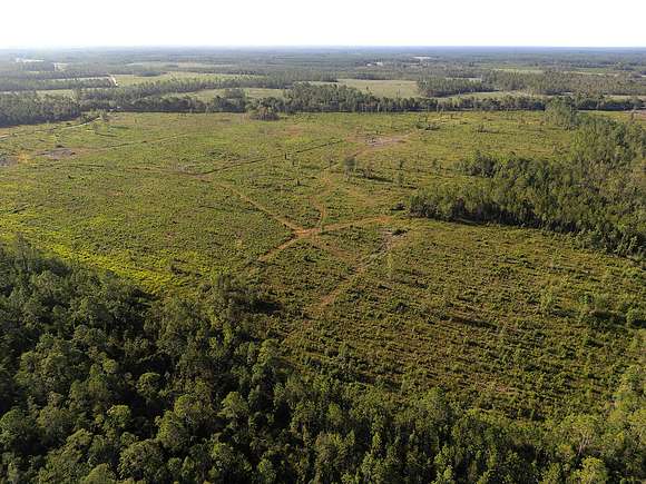 150 Acres of Recreational Land & Farm for Sale in Homerville, Georgia