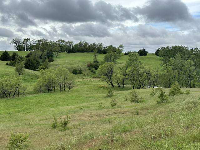 28 Acres of Agricultural Land for Sale in Orchard, Nebraska