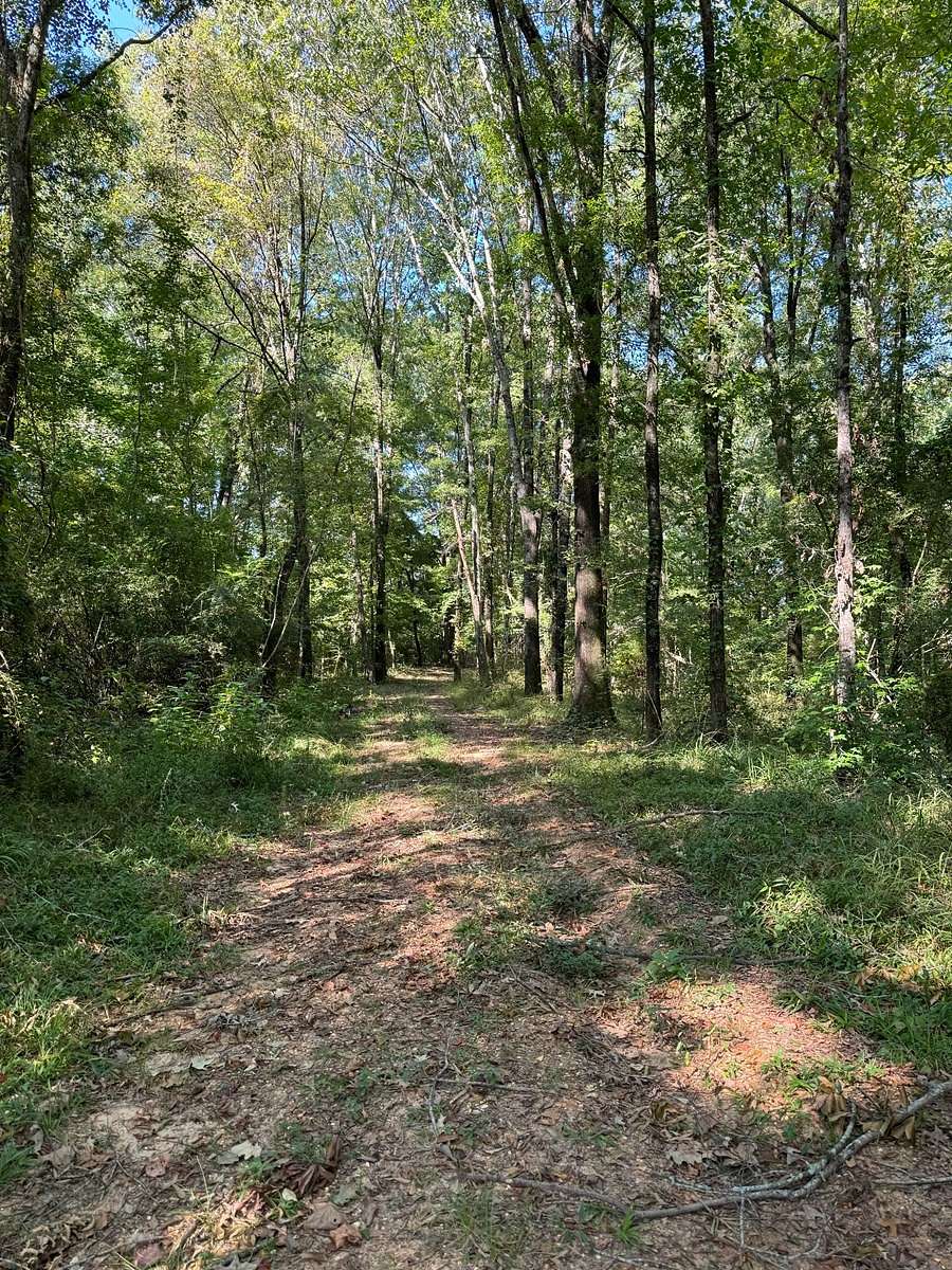 17 Acres of Recreational Land & Farm for Sale in Catherine, Alabama