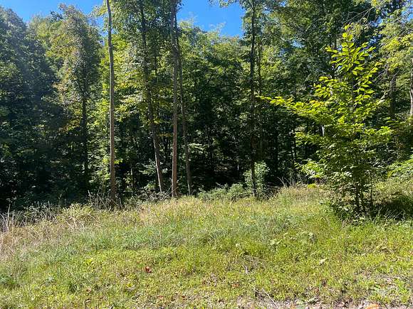 85.7 Acres of Land for Sale in Sutton, West Virginia