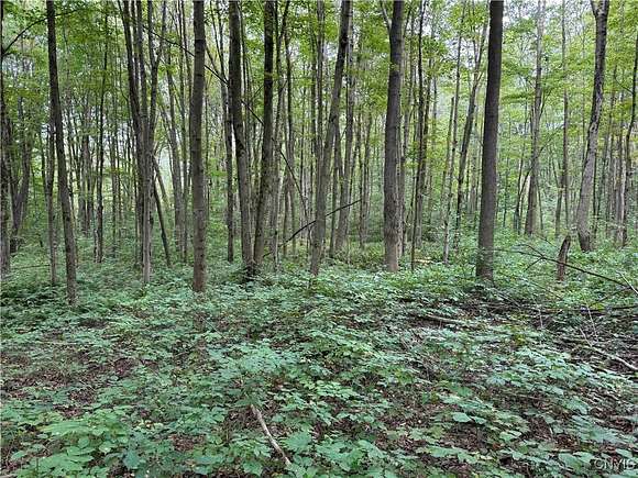 5 Acres of Residential Land for Sale in Gerry, New York