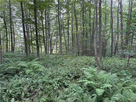 5 Acres of Residential Land for Sale in Gerry, New York