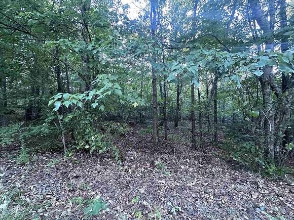 0.28 Acres of Residential Land for Sale in Hot Springs Village, Arkansas