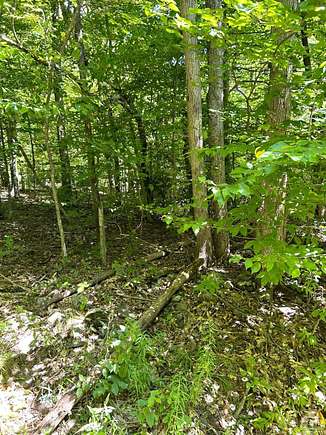 2.3 Acres of Residential Land for Sale in Hunter, New York