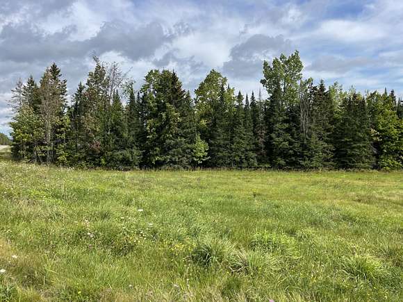 40 Acres of Recreational Land for Sale in Hulbert, Michigan