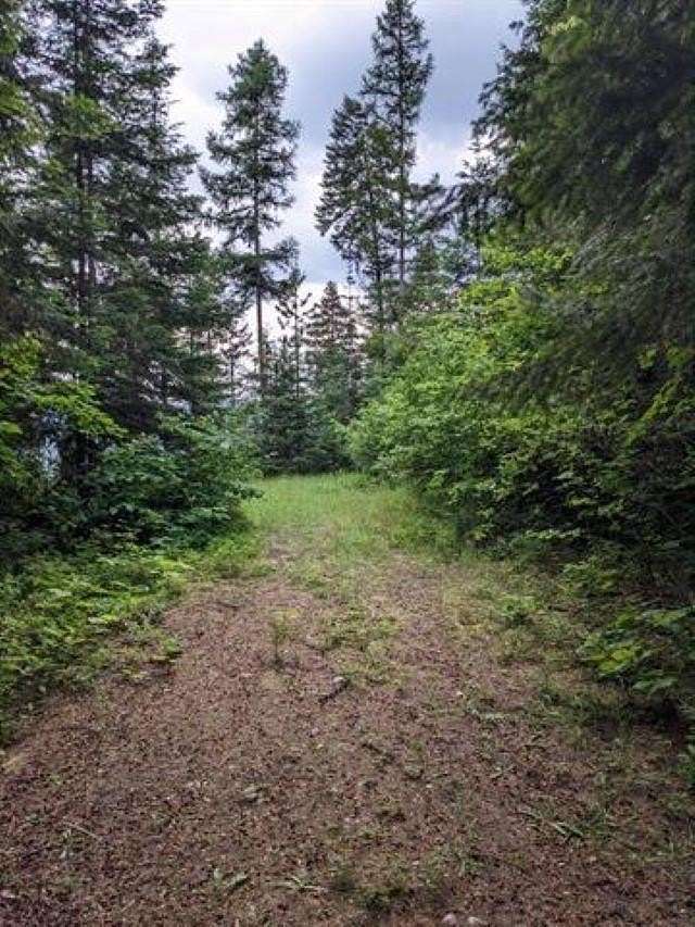 10.56 Acres of Land for Sale in Cusick, Washington