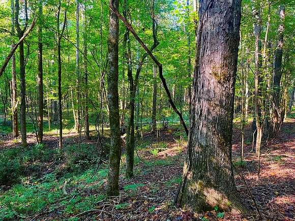 37.79 Acres of Recreational Land for Sale in Wesson, Mississippi