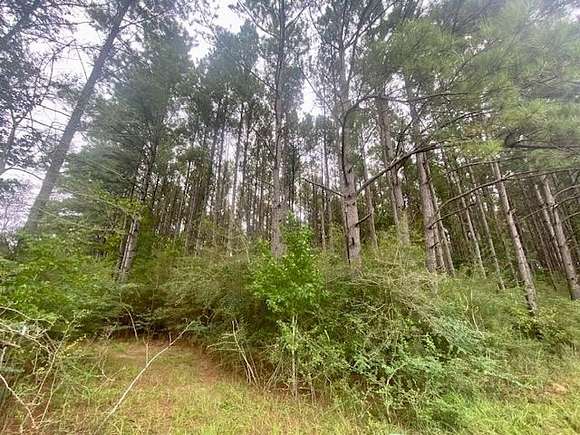 36 Acres of Recreational Land for Sale in Tylertown, Mississippi