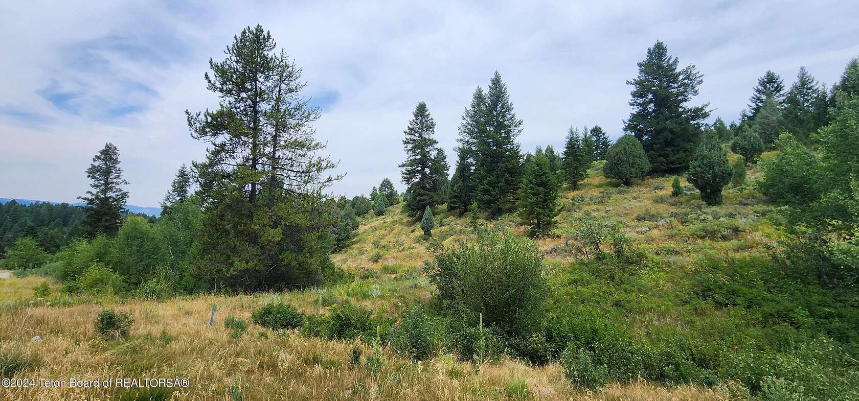 2.7 Acres of Residential Land for Sale in Irwin, Idaho