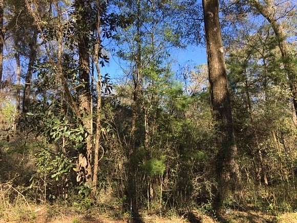 0.11 Acres of Residential Land for Sale in Crawfordville, Florida