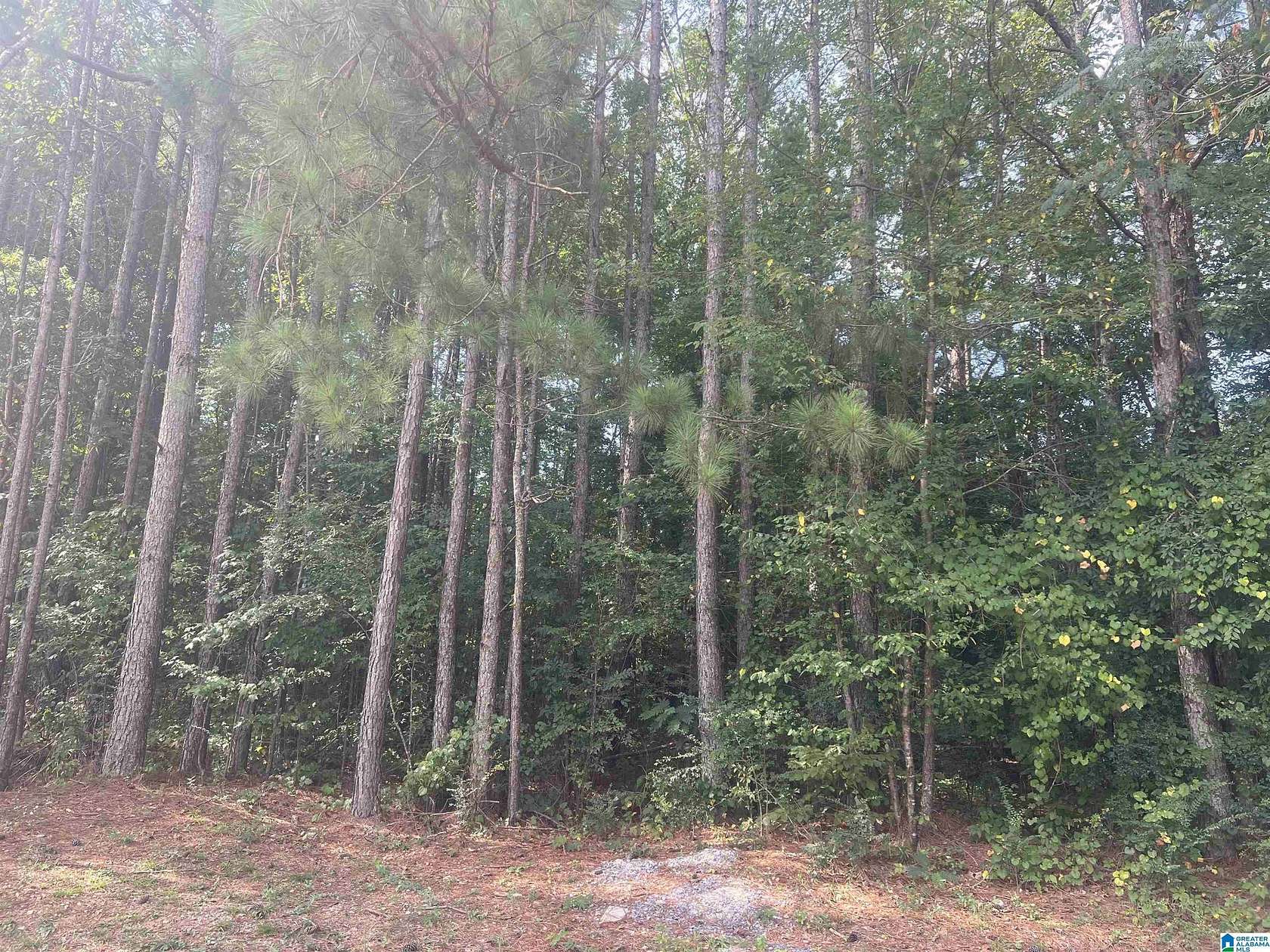 Land for Sale in Sylacauga, Alabama